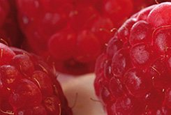 Lire la suite à propos de l’article Entremet : la vie en rose